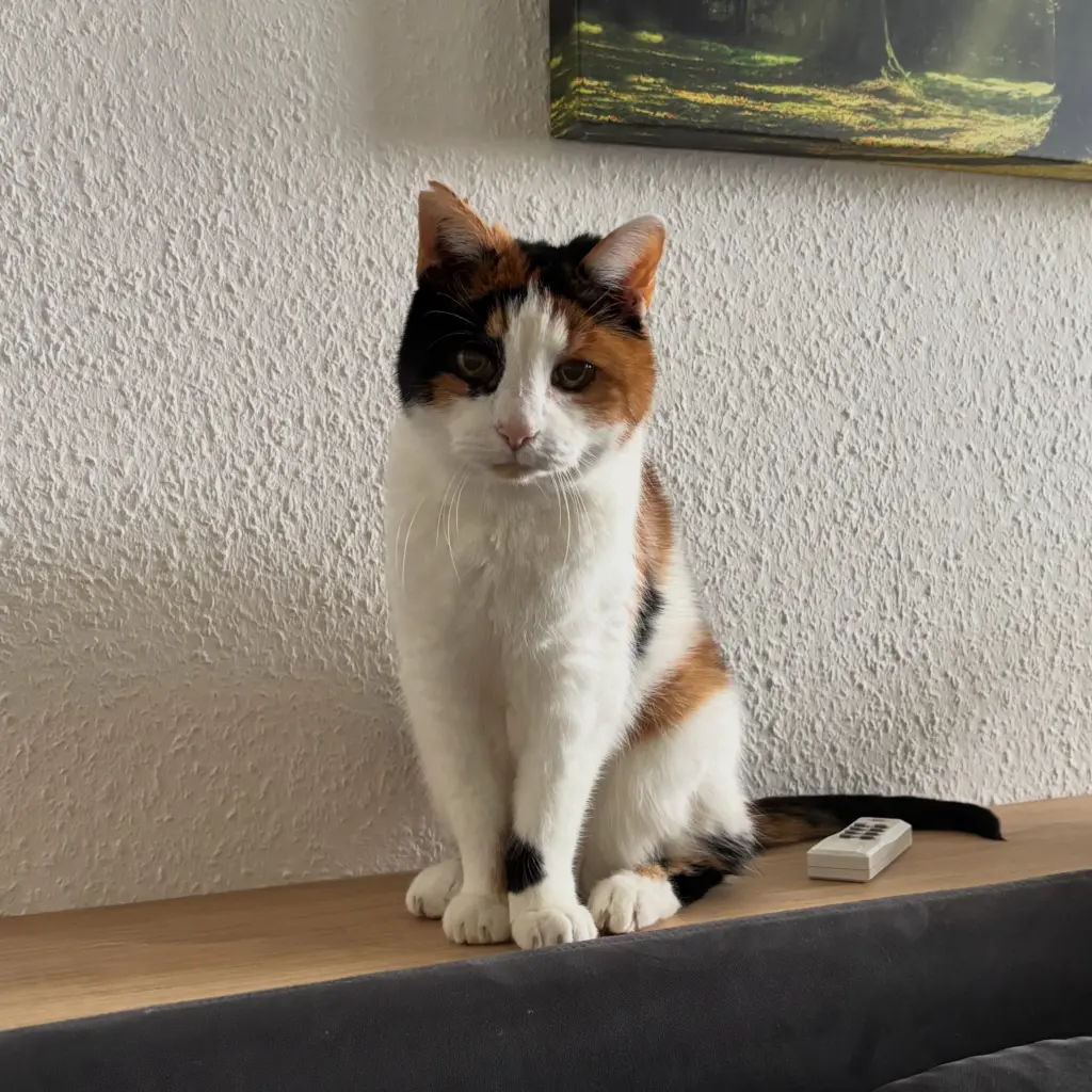 Bild von Wilma (Wilhelmine)