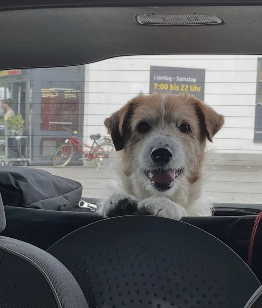 Bild von Bert