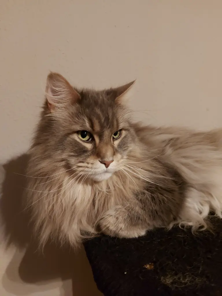 Bild von Filou