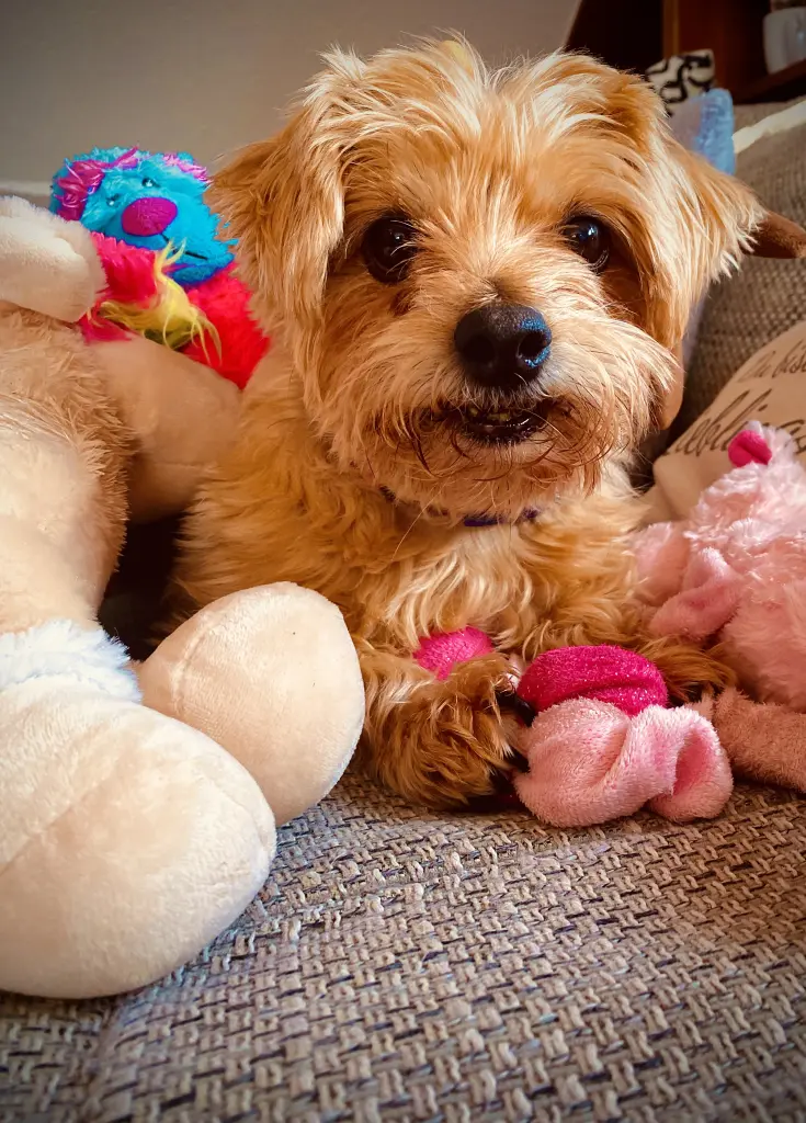 Bild von Mandy