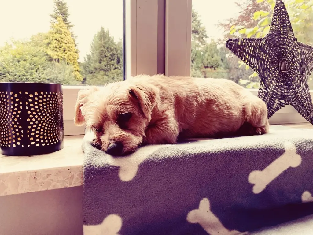 Bild von Mandy