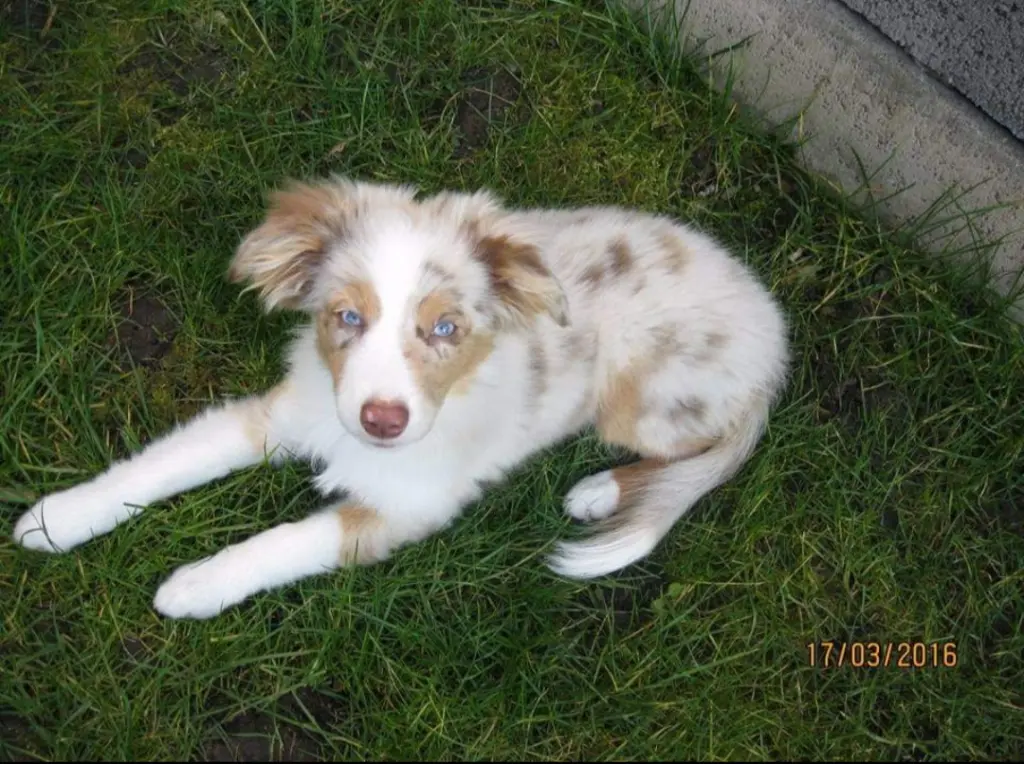 Andachtsbild von Ramona
