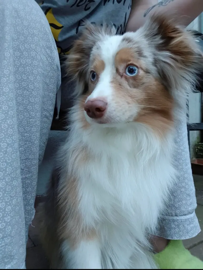 Bild von Teddy