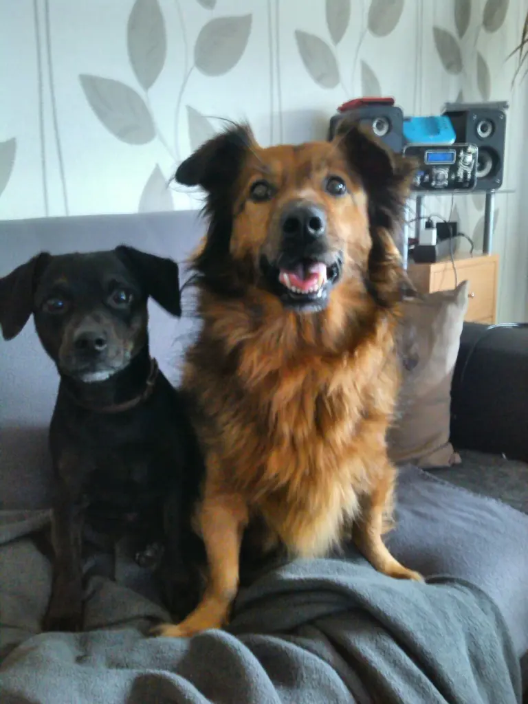 Image from Nelly