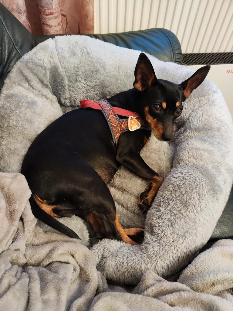Bild von Sunny
