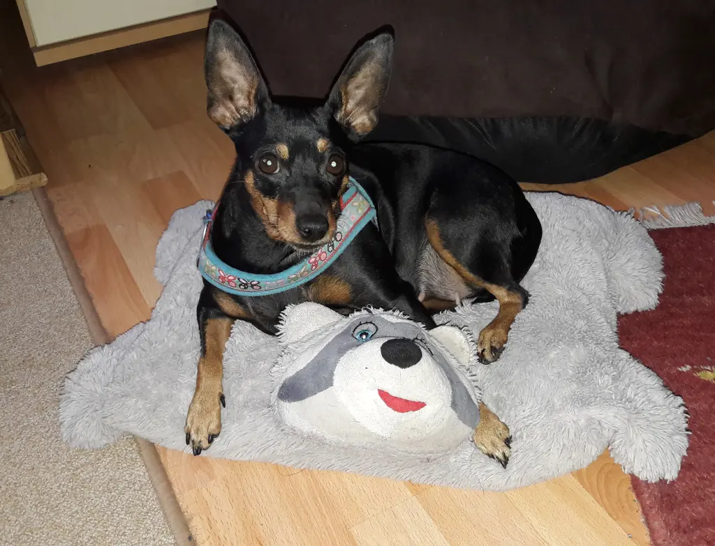 Bild von Sunny