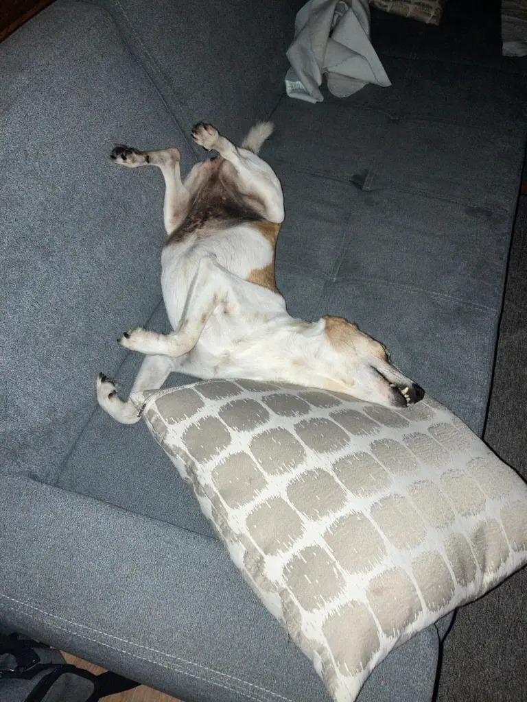 Bild von Emma