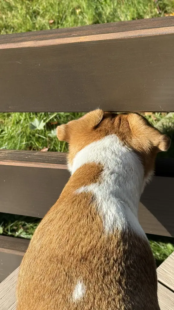 Bild von Emma