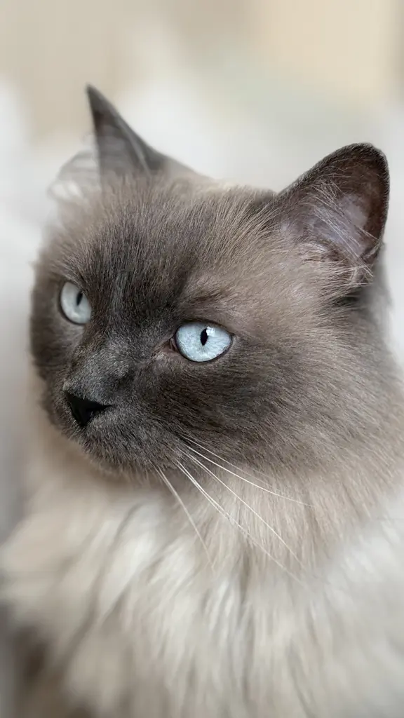 Bild von Chicco