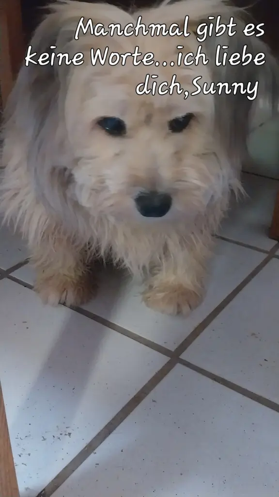 Bild von Sunny