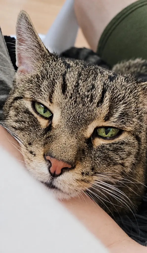 Bild von Max