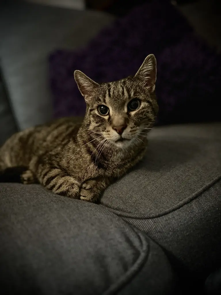 Bild von Max