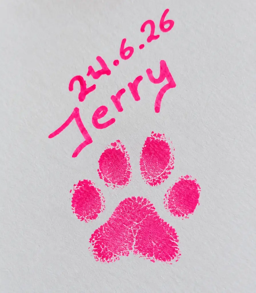 Bild von Jerry