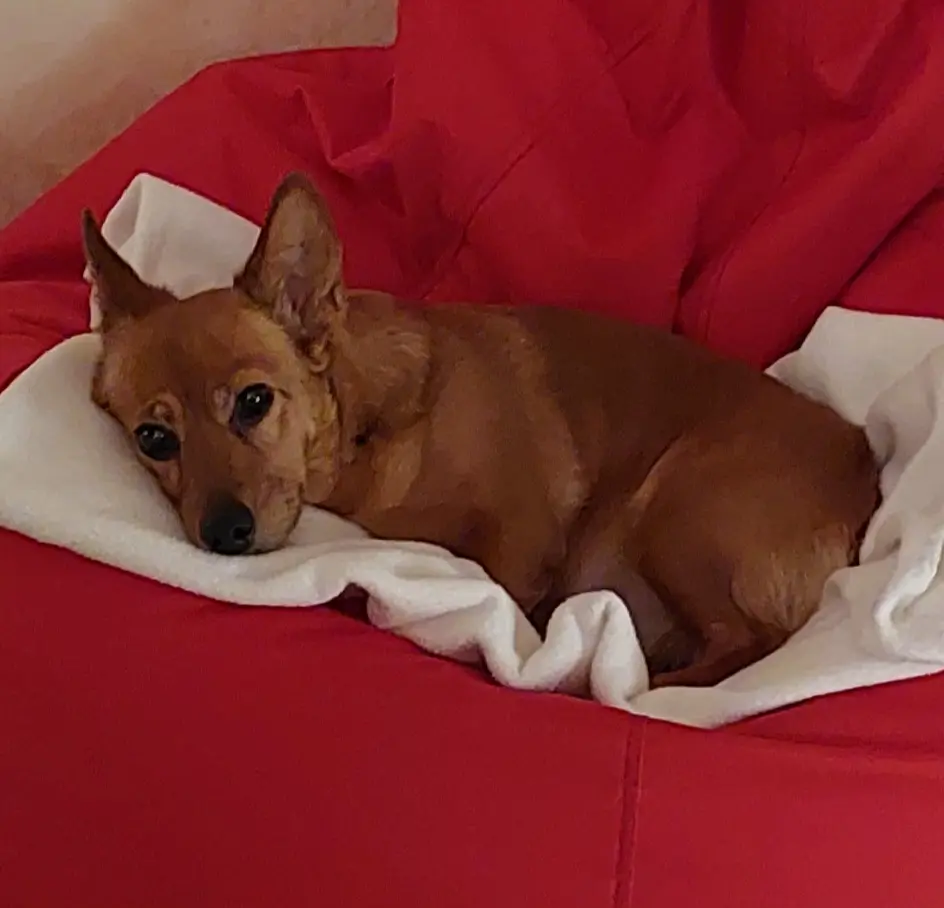 Bild von EMMA