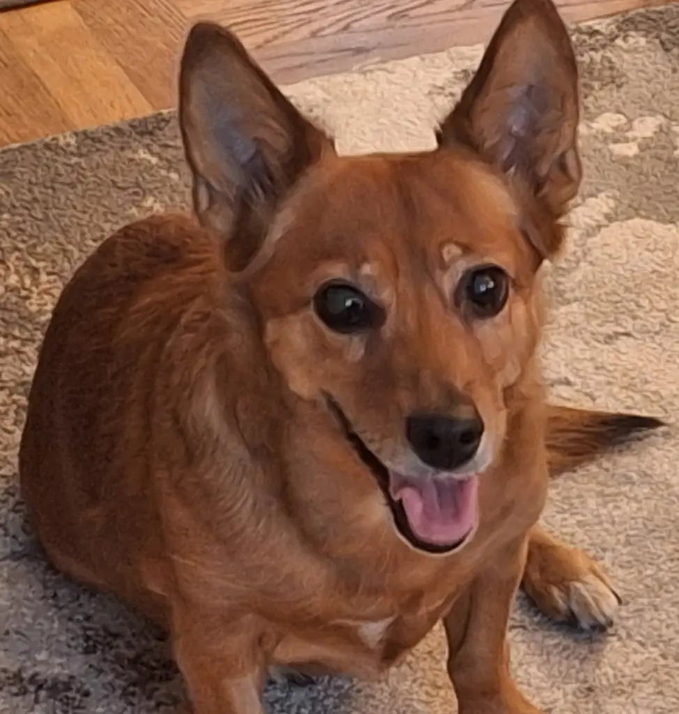 Bild von EMMA