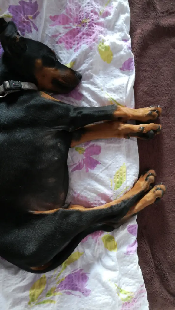 Bild von Hiro