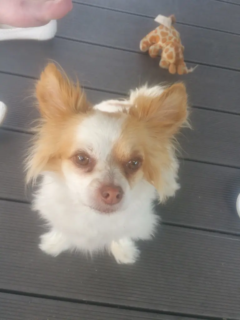 Image from Tassilo 