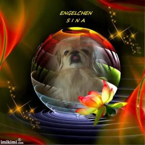 Image from ? meine Stubsnase SINA ?