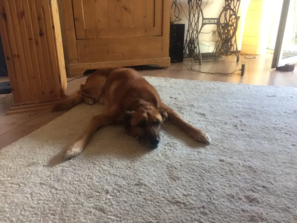 Image from Balou