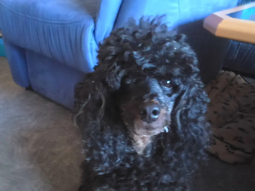 Condolence image of Elke