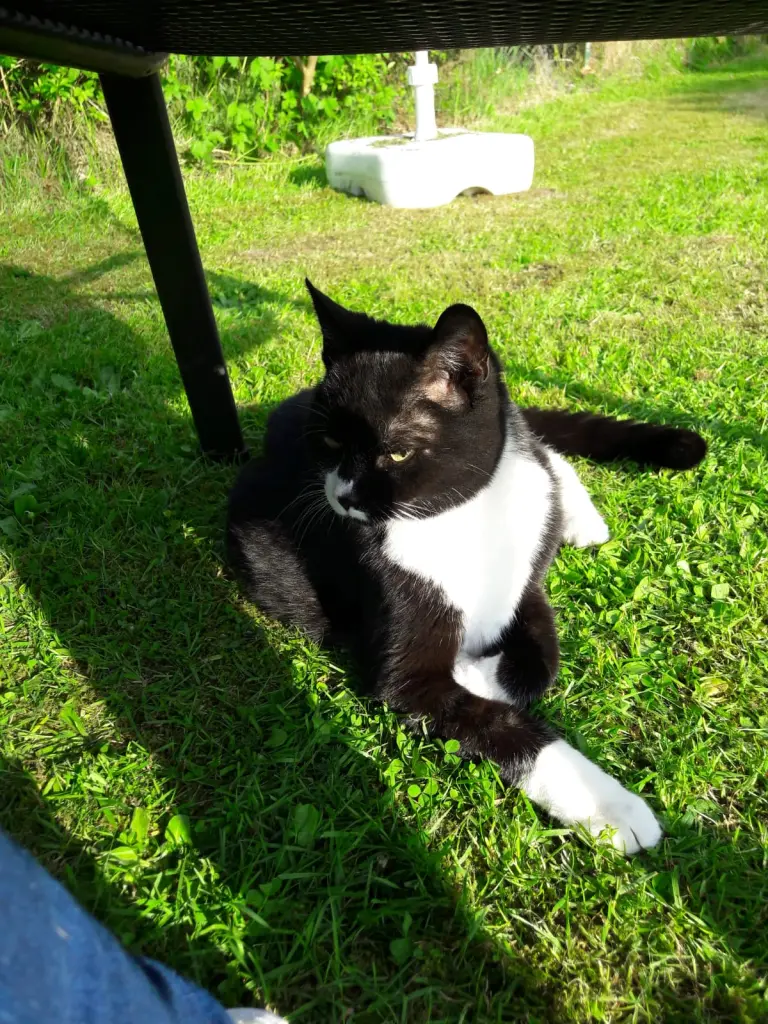 Condolence image of Conny