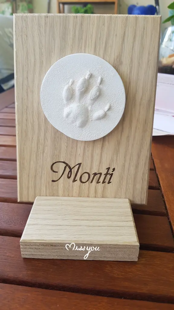 Image from Monti