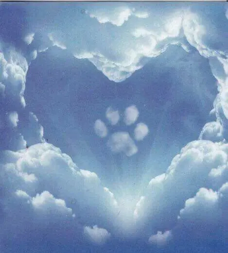 Andachtsbild von Nina mit Gismo im Herzen