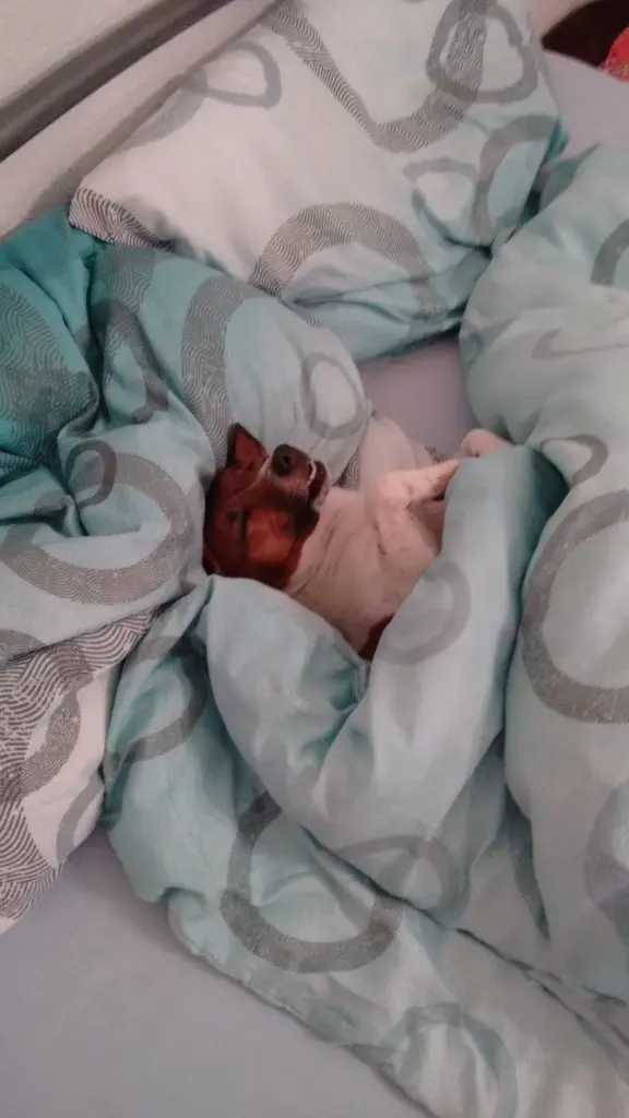 Andachtsbild von Natalie mit Maggy