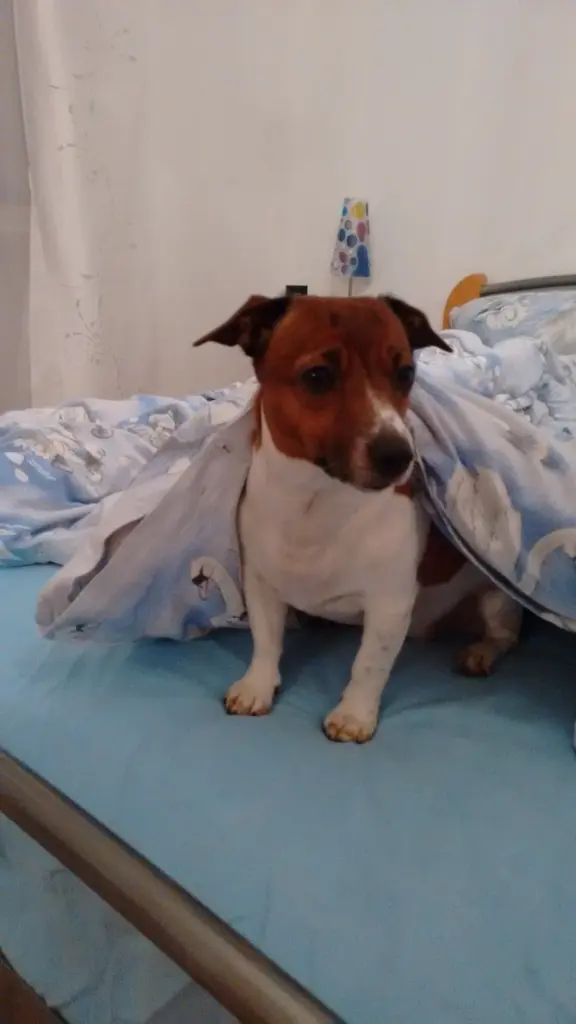 Andachtsbild von Natalie mit Maggy