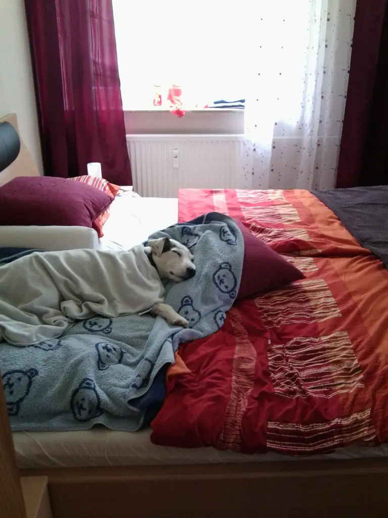 Andachtsbild von Kerstin mit  Gismo  im Herzen 