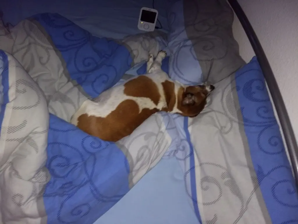 Andachtsbild von Natalie mit Maggy