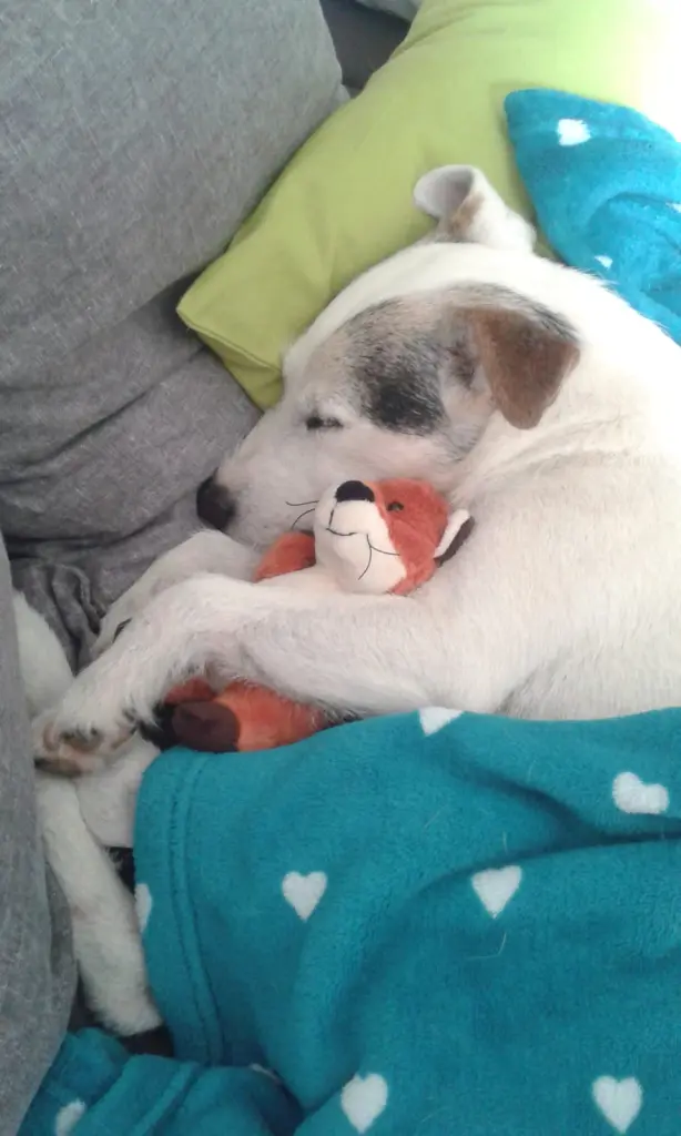 Andachtsbild von von Mama 