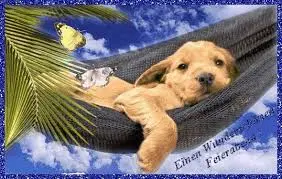 Andachtsbild von Brigitte mit Nelly, Benny und Axel im Herzen