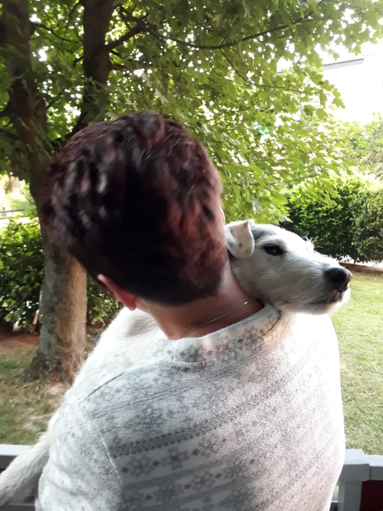 Andachtsbild von von Mama