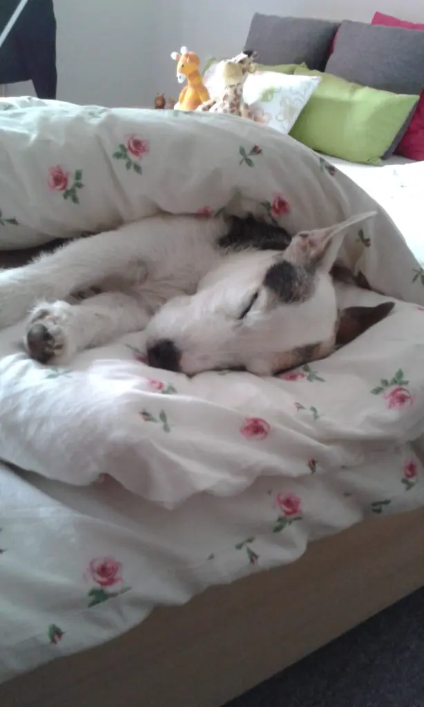 Andachtsbild von von Mama 