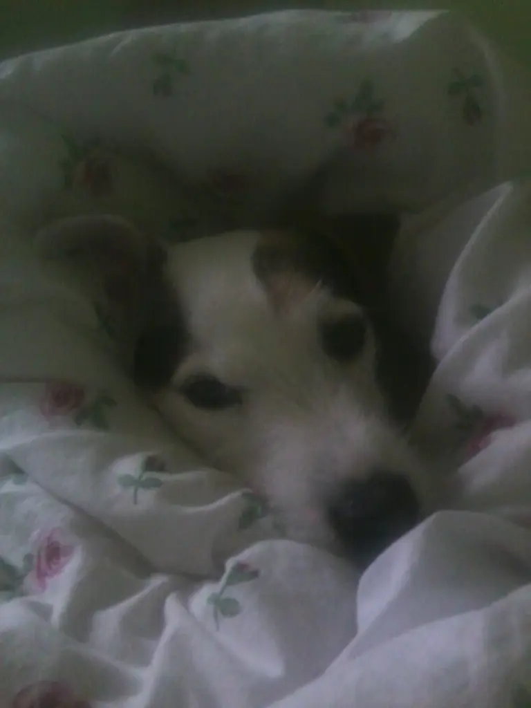 Andachtsbild von von Mama