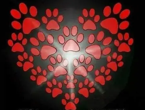 Andachtsbild von Sonntagsrose