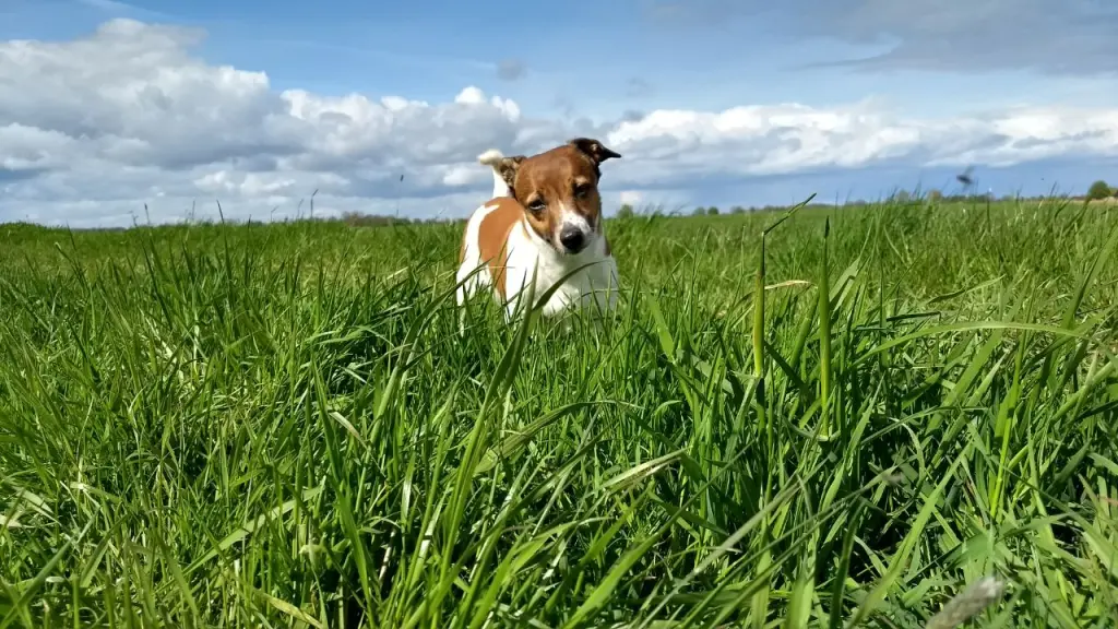 Andachtsbild von Natalie mit Maggy