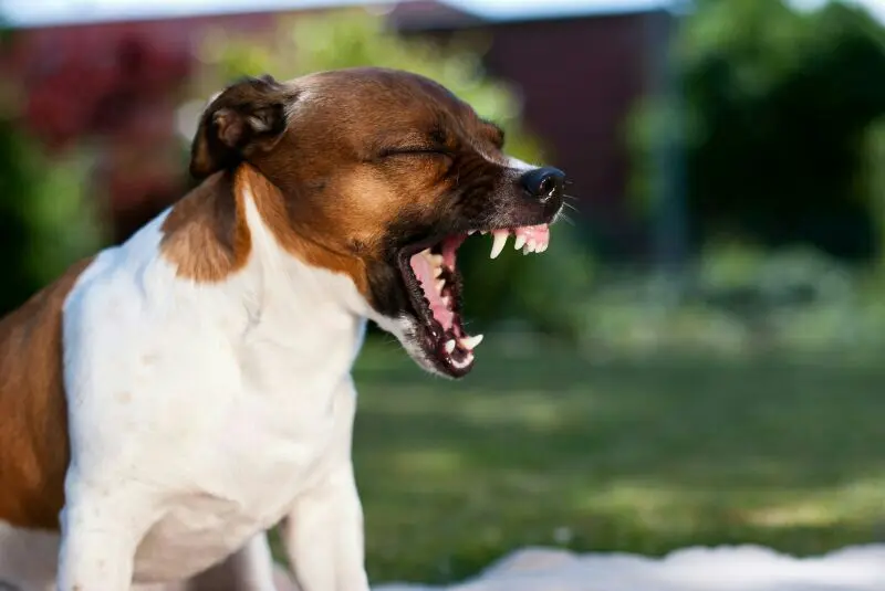 Andachtsbild von Natalie mit Maggy