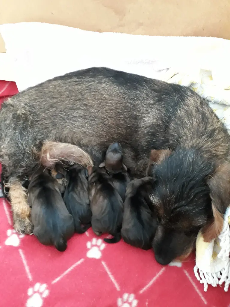 Andachtsbild von von Mama