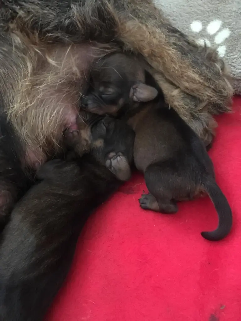 Andachtsbild von von Mama 