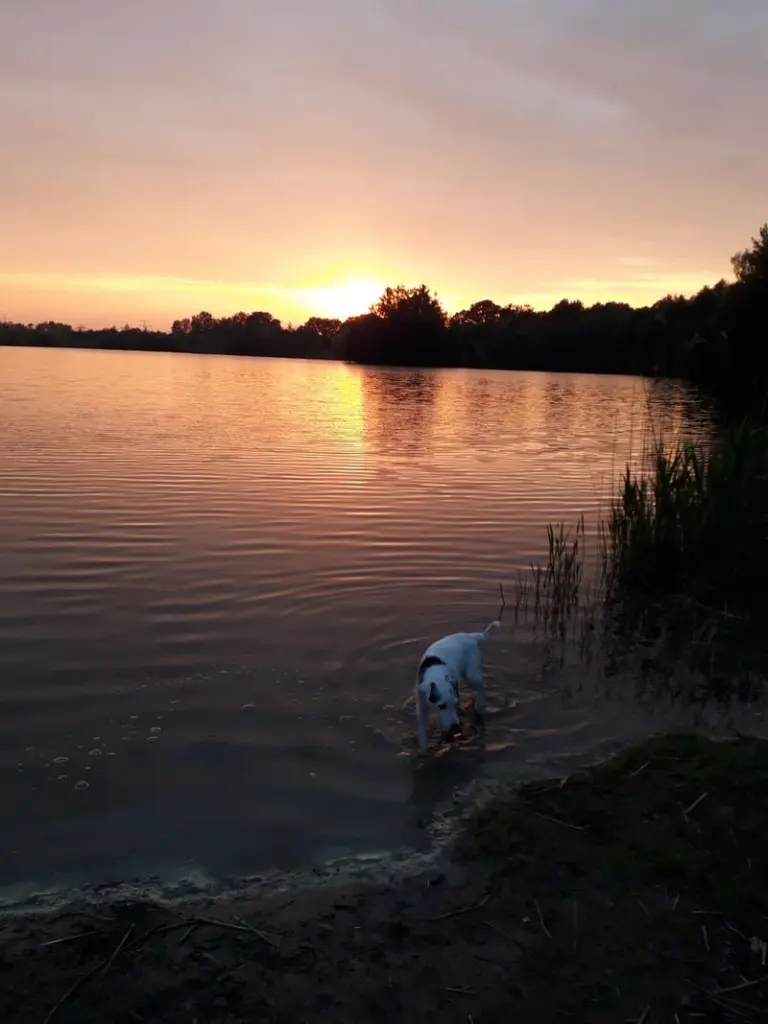 Andachtsbild von Kerstin mit Gismo im Herzen 