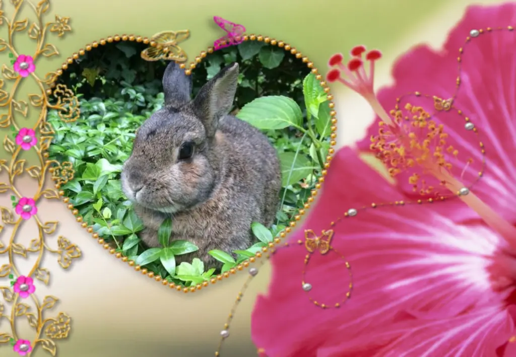 Andachtsbild von Fur Pauline❤