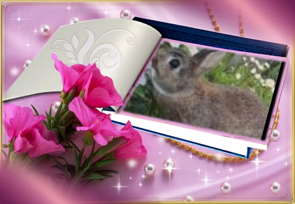 Andachtsbild von Fur Liebe Pauline❤
