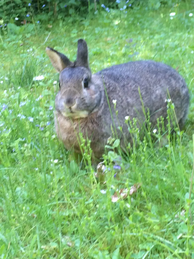 Andachtsbild von Drei Monate ohne dich
