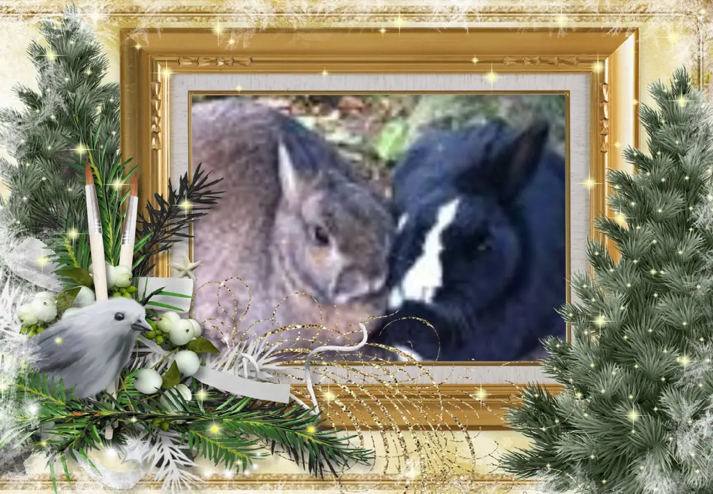 Andachtsbild von Klaudia mit Misiu❤❤❤Ganz Tief im Herzen❤