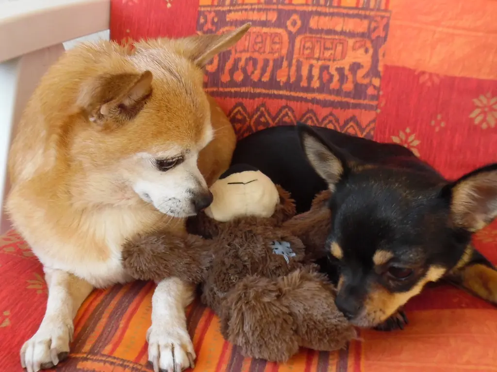 Andachtsbild von Irene mit Jimmy tief im Herzen