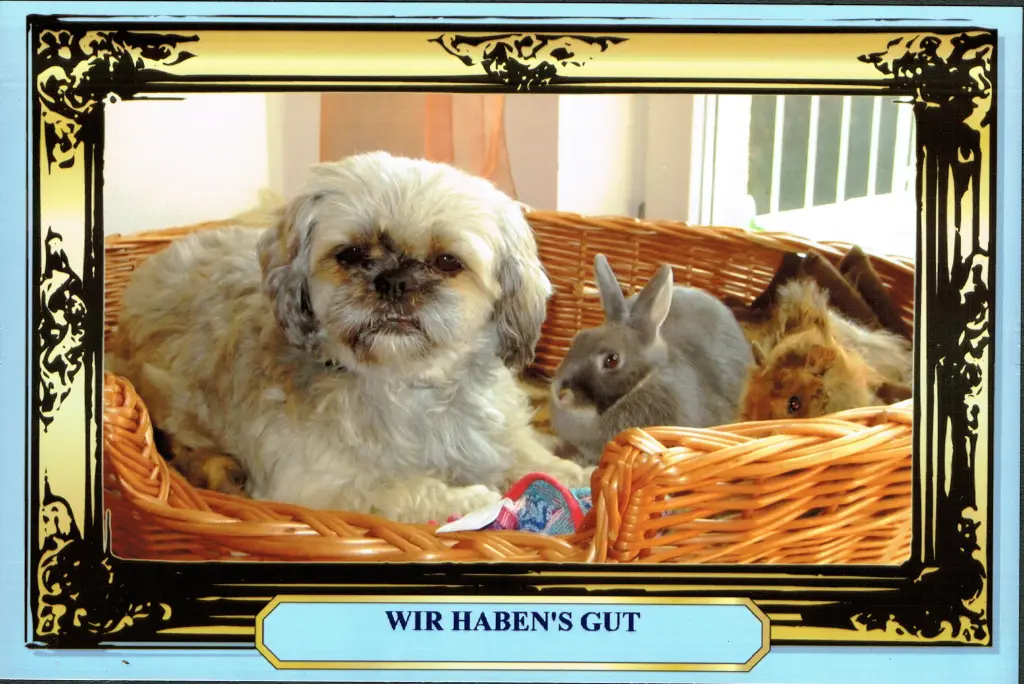 Andachtsbild von Kathrin mit Susi im Herzen