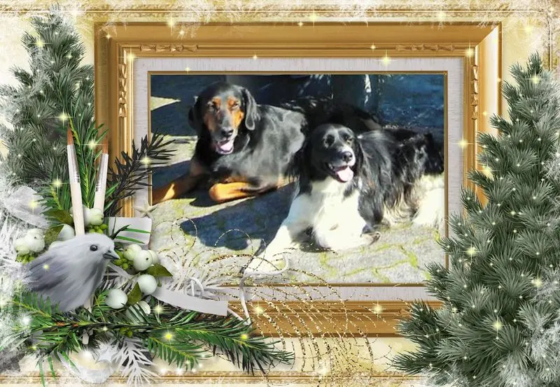 Andachtsbild von Brigitte mit Nelly, Benny und Axel im Herzen