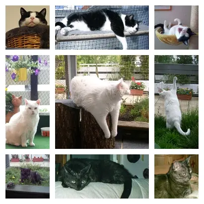 Andachtsbild von Ilse mit Gismo, Fee und Minna tief im Herzen